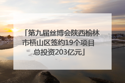 第九届丝博会陕西榆林市横山区签约19个项目 总投资203亿元