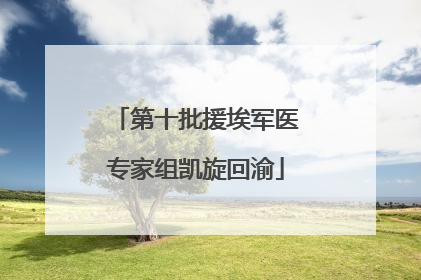 第十批援埃军医专家组凯旋回渝