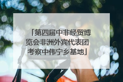 第四届中非经贸博览会非洲外宾代表团考察中伟宁乡基地