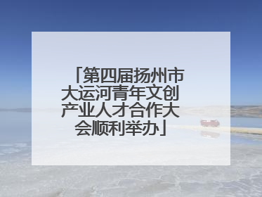 第四届扬州市大运河青年文创产业人才合作大会顺利举办