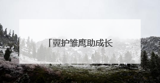 翼护雏鹰助成长 武汉市司法局何湾强戒所开展禁毒宣传进校园活动