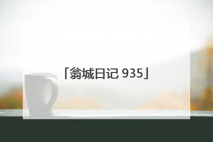 翁城日记 935
