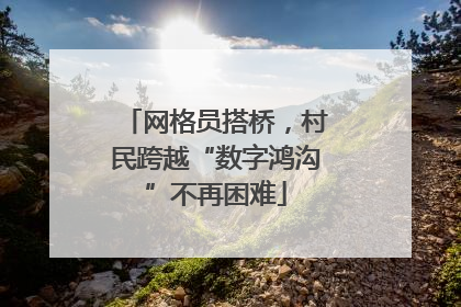 网格员搭桥，村民跨越“数字鸿沟”不再困难