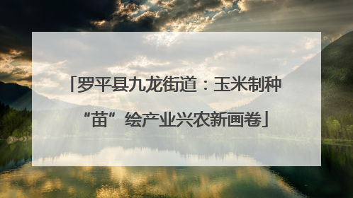 罗平县九龙街道：玉米制种“苗”绘产业兴农新画卷