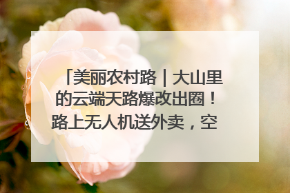 美丽农村路｜大山里的云端天路爆改出圈！路上无人机送外卖，空心村变网红村