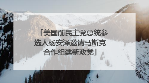 美国前民主党总统参选人杨安泽邀请马斯克合作组建新政党