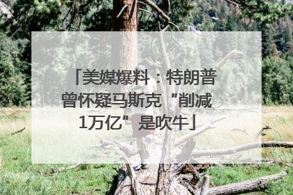美媒爆料：特朗普曾怀疑马斯克“削减1万亿”是吹牛