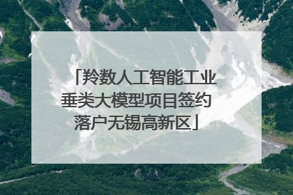 羚数人工智能工业垂类大模型项目签约落户无锡高新区