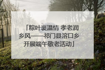 粽叶裹温情 孝老润乡风——祁门县溶口乡开展端午敬老活动