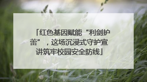 红色基因赋能“利剑护蕾”，这场沉浸式守护宣讲筑牢校园安全防线