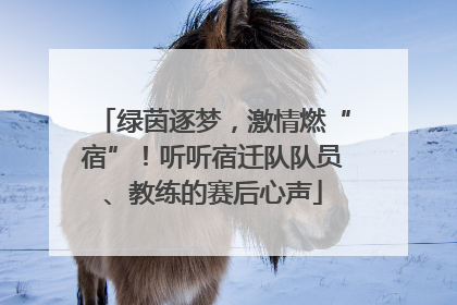 绿茵逐梦，激情燃“宿”！听听宿迁队队员、教练的赛后心声