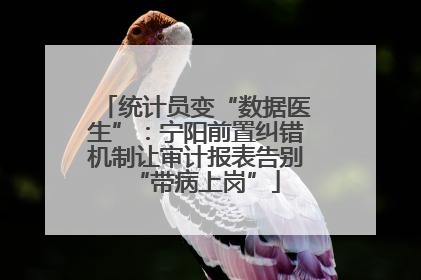 统计员变“数据医生”：宁阳前置纠错机制让审计报表告别“带病上岗”