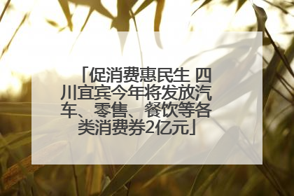 促消费惠民生 四川宜宾今年将发放汽车、零售、餐饮等各类消费券2亿元