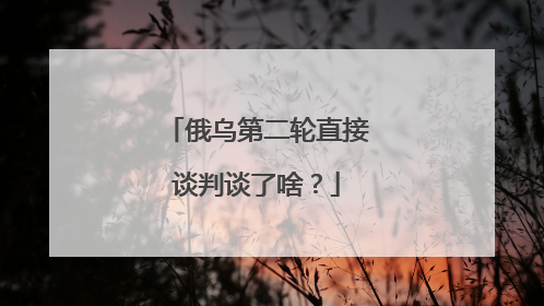 俄乌第二轮直接谈判谈了啥？
