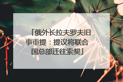 俄外长拉夫罗夫旧事重提：提议将联合国总部迁往索契