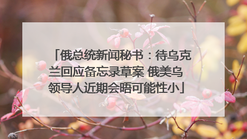 俄总统新闻秘书：待乌克兰回应备忘录草案 俄美乌领导人近期会晤可能性小
