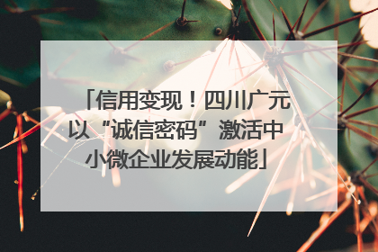 信用变现！四川广元以“诚信密码”激活中小微企业发展动能