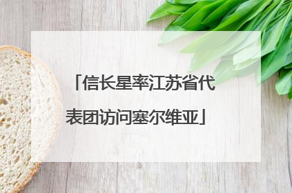 信长星率江苏省代表团访问塞尔维亚