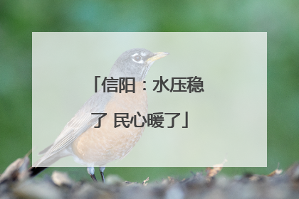 信阳：水压稳了 民心暖了