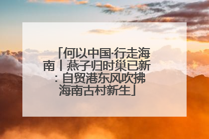 何以中国·行走海南丨燕子归时巢已新：自贸港东风吹拂 海南古村新生