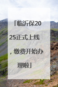 临沂保2025正式上线，缴费开始办理啦