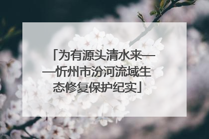 为有源头清水来——忻州市汾河流域生态修复保护纪实