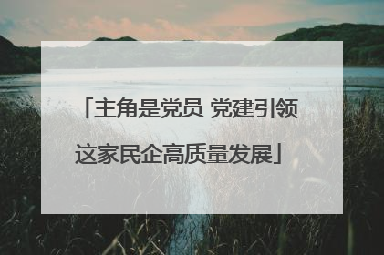 主角是党员 党建引领这家民企高质量发展