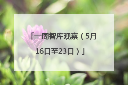 一周智库观察（5月16日至23日）