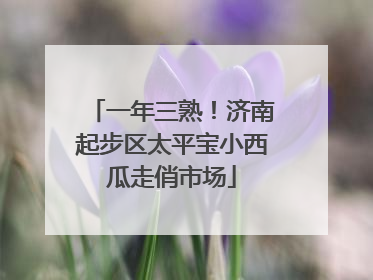 一年三熟！济南起步区太平宝小西瓜走俏市场