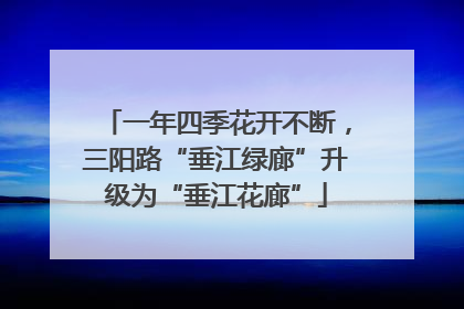 一年四季花开不断，三阳路“垂江绿廊”升级为“垂江花廊”
