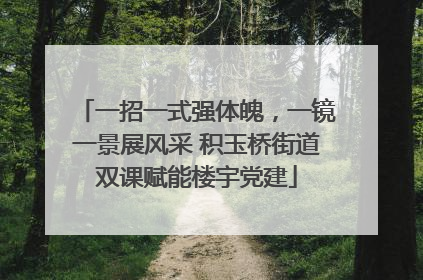 一招一式强体魄，一镜一景展风采 积玉桥街道双课赋能楼宇党建