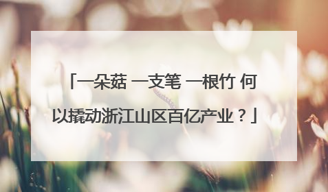 一朵菇 一支笔 一根竹 何以撬动浙江山区百亿产业？