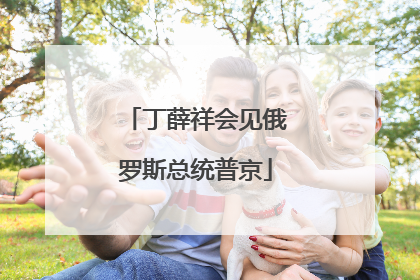 丁薛祥会见俄罗斯总统普京