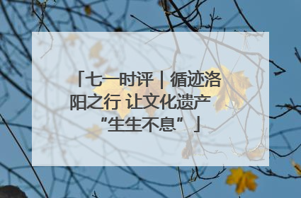 七一时评｜循迹洛阳之行 让文化遗产“生生不息”