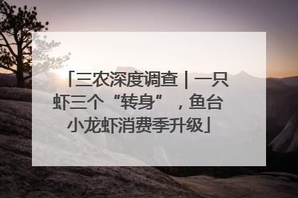 三农深度调查｜一只虾三个“转身”，鱼台小龙虾消费季升级