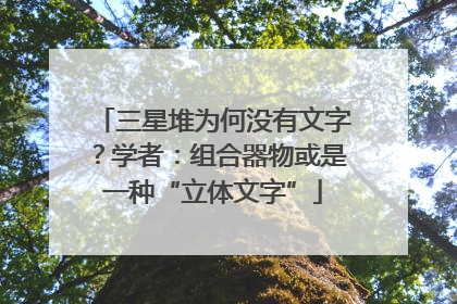 三星堆为何没有文字？学者：组合器物或是一种“立体文字”