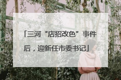 三河“店招改色”事件后，迎新任市委书记