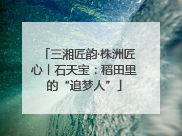 三湘匠韵·株洲匠心丨石天宝：稻田里的“追梦人”