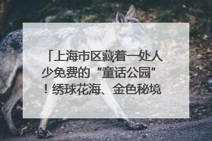 上海市区藏着一处人少免费的“童话公园”！绣球花海、金色秘境……地铁直达→
