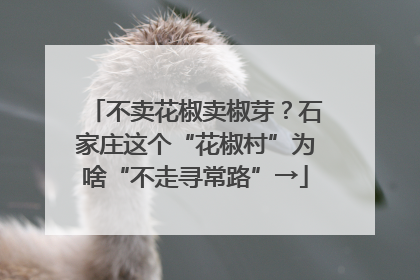 不卖花椒卖椒芽？石家庄这个“花椒村”为啥“不走寻常路”→