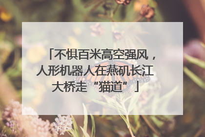 不惧百米高空强风，人形机器人在燕矶长江大桥走“猫道”