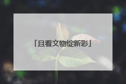 且看文物绽新彩