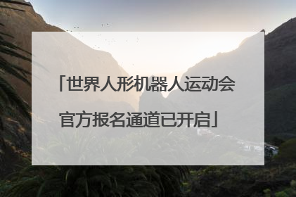 世界人形机器人运动会官方报名通道已开启