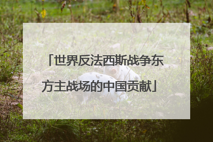 世界反法西斯战争东方主战场的中国贡献