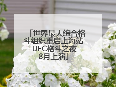 世界最大综合格斗组织重启上海站 UFC格斗之夜8月上演