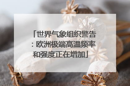世界气象组织警告：欧洲极端高温频率和强度正在增加