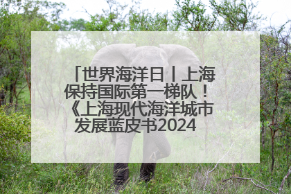 世界海洋日丨上海保持国际第一梯队！《上海现代海洋城市发展蓝皮书2024评估报告》发布