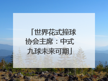 世界花式撞球协会主席：中式九球未来可期