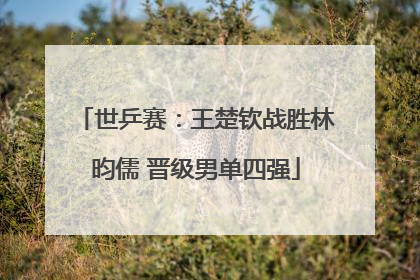 世乒赛：王楚钦战胜林昀儒 晋级男单四强