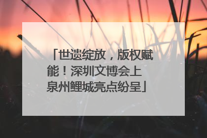 世遗绽放，版权赋能！深圳文博会上 泉州鲤城亮点纷呈